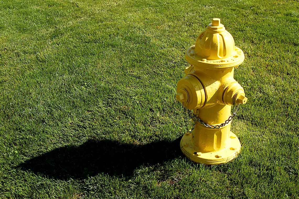 yellow fire hydrant